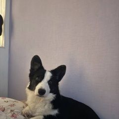 ����: ������� ������  �������� ������ ����� ��������� ���������� � �. ���������