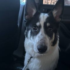 ����: ������� ������  ����������� ������� ������ � �. ����������