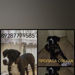 ����: ������� ������  �������-��-���� ������� ������ ������ ������ �...� � �. ������-��-����