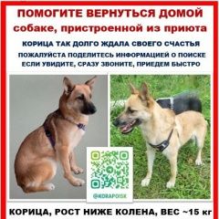 ����: ������� ������  ������� ������� ������ ����������� ����� � �. ������