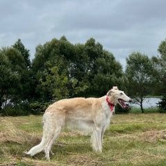 ����: ������� ������ ������� ������ ������ ������� ������� ������ ������� ������ ������ ���� � �. ������