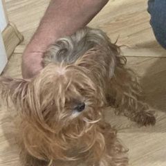 ����: ������� ������ ����������� ������ �������� ������ ����������� � �. �����������