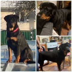 ����: ������� ������  ������� ������� ������ ������ ������ /������/� � �. ������