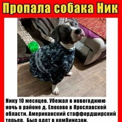 ����: ������� ������ ������������ ��������������� ������ �������� ������� ������ ������ ������ ������������.� � �. �������