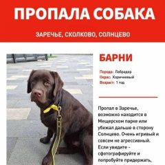 ����: ������� ������ �������� �������� ������� ������� ������ ������� � �. ������