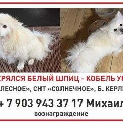 ����: ������� ������ �������� ���� ������������ ������� ������ ������� � �. �����������