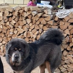 ����: ������� ������  ������� ������� ������ ���������� ������� � �. ������