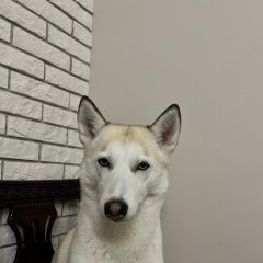 ����: ������� ������ ��������� ����� ���������� ������� ������ � �. ���������