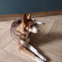 ����: ������� ������ ������ ����� �������� ������ ���������� � �. ����������