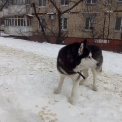 ����: ������� ������  �������� ������ ������ ����� ����������, � ��...� � �. ��������