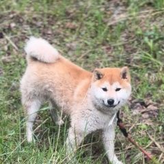 ����: ������� ������  �������� ������ �������� ������� � �. �������