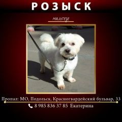 ����: ������� ������ ����������� ������� ��������� ������� ������ ������� � �. ��������