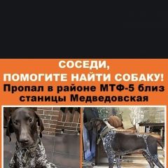 ����: ������� ������  ���������� ������� ������ ������ ������ ��������.� � �. ���������