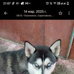 ����: ������� ������ ��������� ����� ���������� ������� ������ ������� � �. ���������