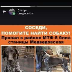 ����: ������� ������ �������� ���������� ������� ������ ������ ������ �������� � �. ���������