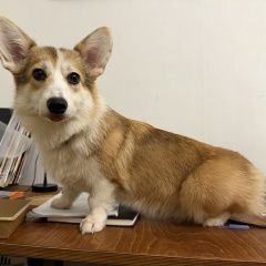 ����: ������� ������ ����� ����� �������� ������ ������ � �. ������