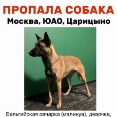 ����: ������� ������ ����������� ������� ������� ������� ������ �������� - ���������� ��...� � �. ������