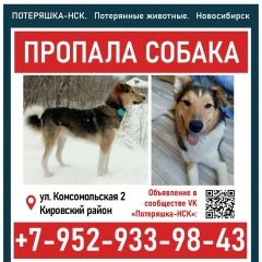 ����: ������� ������  ������������ ������� ������ ������� � �. �����������