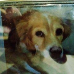 ����: ������� ������  �������� ������ ������ � ��������� ������...� � �. �����������