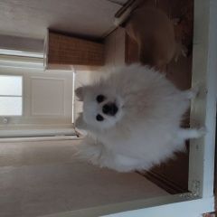 ����: ������� ������ �������� ���� ����������� ������� ������ � �. ����������