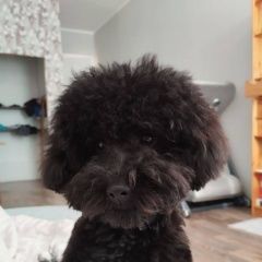 ����: ������� ������ ������ ��������� ������� ������ ������ ���� � �. ��������