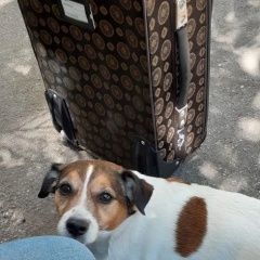 ����: ������� ������ ���� ������ ������ ��������� ������� ������ ������ ���� ������ � �. ��������