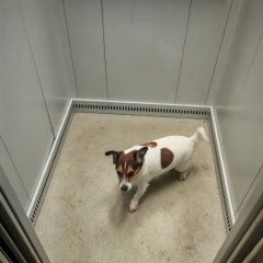 ����: ������� ������ ���� ������ ������ ��������� ������� ������ ������ ���� ������ � �. ��������