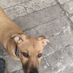 ����: ������� ������ ������������ ��������������� ������ ��������� (���) ������� ������ ������ ������ ������ � �. �������� (���)