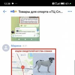 ����: ������� ������  ������� ������� ������ ����������. ��������...� � �. ������