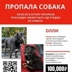 ����: ������� ������  �������� ������ ��������� � �. ���������