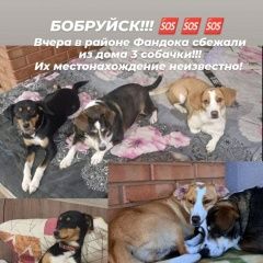 ����: ������� ������  �������� ������ ������ ������ 3 ������ �������� � �. ��������