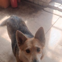 ����: ������� ������  ������� ������� ������ � �. ������