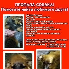 ����: ������� ������  �������� ������ ����������, ������������...� � �. ������-��-����