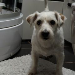 ����: ������� ������  �������� ������� ������ �������������� 50. 000� � �. �������