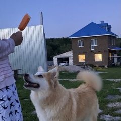 ����: ������� ������  �������� ������� ������ � �. �������