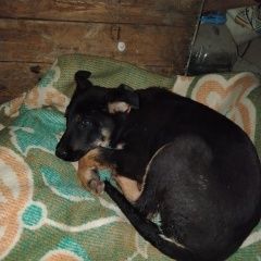 ����: ������� ������ �������� ������� ������� ������� ������ ����� ������� � �. ������