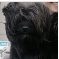 ����: ������� ������ ����������� ������ �������� ������ ������ ������� (���������� ����)� � �. ������� (���������� ����)