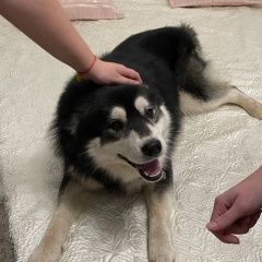 ����: ������� ������ ��������� ����� �������� ������ ������ ����� ������ � �. ������