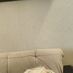 ����: ������� ������  �������� ������ ��������� � �. ���������