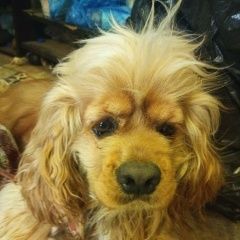 ����: ������� ������ ������������ �����-�������� �������� ������ ������ ��������� � �. ���������