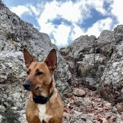 ����: ������� ������  �������� ������ ������������ � �. �����������