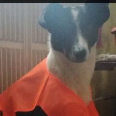 ����: ������� ������  �������� ������ ������ ���������� ������...� � �. ������������