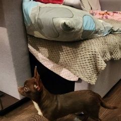 ����: ������� ������ �������� �������� ������ ������ �������� �������� � �. �������