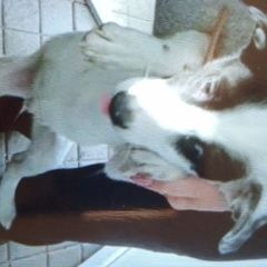 ����: None  ��������� ����� ����� ������� � �. �������