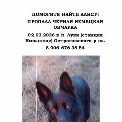 ����: ������� ������ �������� ������� ����������� ������� ������ �������� ������ ������� � �. ����������