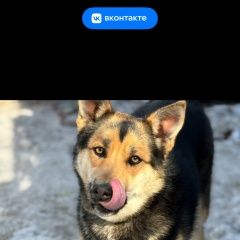 ����: ������� ������  ������� ������� ������ � �. ������