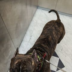 ����: None  ��������� ����� ������� ������� � �. ������� ������