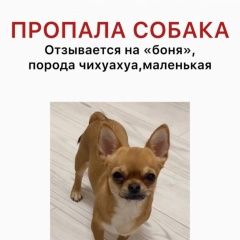 ����: ������� ������ �������� ������ ������ ������� ������ � ������� ��������...� � �. ����� ������