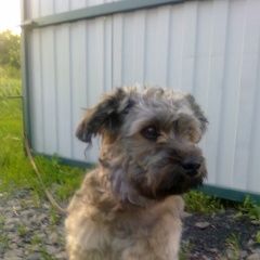 ����: ������� ������  �������� ������ ������ ������ ����� � �. ������ �����