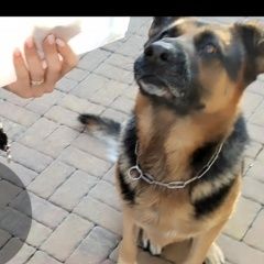 ����: ������� ������ �������� ������� �������-��-���� ������� ������ ������ ����, ����.� � �. ������-��-����